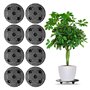 Lot De 8 Support À Plantes