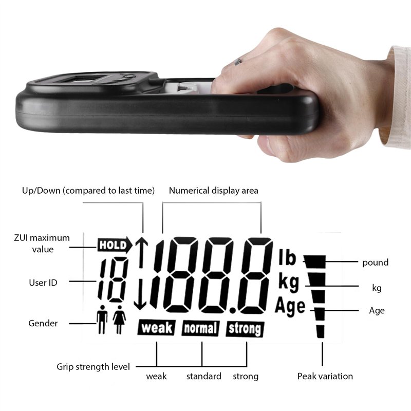 Arrêts et Butées de Porte en Acier Inoxydable (4 pièces), Arrêts de Portes, avec pare-chocs en caoutchouc, Pour tous les sols du