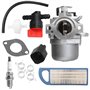 Ewillownm Compatible avec carburateur de rechange 593432 pour 794653 791266 698772 794215 791178 793227 21A902 21A707 21A807