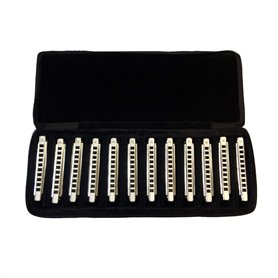 East Top Lot de 12 Harmonica Diatonic Blues Professionnel 10 trous, Harmonica Blues Professionnel 12 touches T008 pour adultes East Top Lot de 12 Harmonica Diatonic Blues Professionnel 10 trous