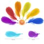 Firschoie 500 Pcs Plumes Colorées, Plume Decoration, Naturelles Plume, Plumes Loisirs Creatifs pour le Bricolage, Mariage, Attra