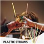 Pailles En Plastique