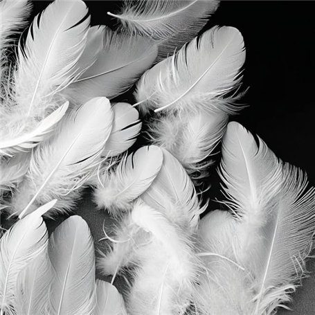 Frogetu 200 Plume Decoration