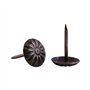 Décoratif Clou， Rembourrage élégant Vintage Clous En Métal Tags Meuble Canapé Chaussure Porte Décoratif Clou(Daisy Nail 10 * 14m