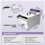 3000W Acier Inoxydable Friteuse avec robinet