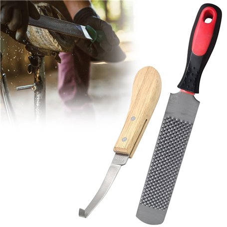 Bordeag Râpe À Sabot De Cheval 8 Pouces Lime En Fer À Cheval