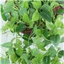 Simulation de Plantes Suspendue 100cm Plante Artificielle Exterieur Lierre pour