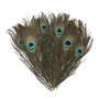 Lot de 20 plumes de paon