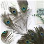 Lot de 20 plumes de paon, décoration de plumes de paon, 25 cm de long, plumes de paon pour travaux manuels, peuvent être utilisé
