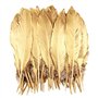 50 plumes dorées