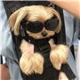 1 Petite Lunettes Pour Chien Et 1 Bandana Pour Chien, Lunettes Réglables, Accessoires Pour Animaux De Compagnie, Lunettes De Sol