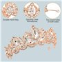Couronne de Reine Accessoires pour
