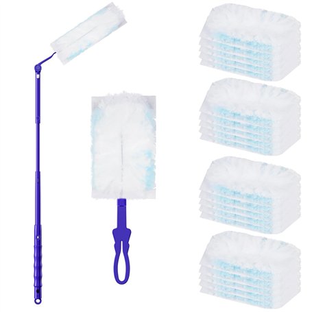 Lectorias Plumeau Poussière