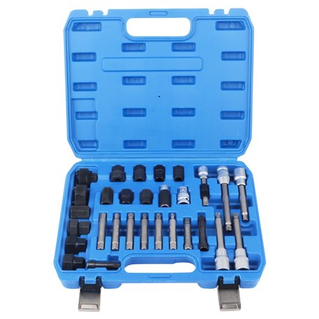 DAYUAN Kit de remplacement de 30 pièces d'alternateur de roue libre de poulie de blocage