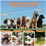 Anti Aboiement Chien Gamme 15M, Mini Boitier Silencieux Anti Aboiement, 3 Modes Ultrason Chien avec Deux Haut-parleurs, Disposit