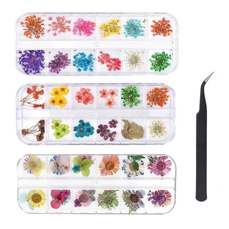 KAHEIGN 96 Pièces Fleur Séchée pour Ongles