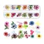 KAHEIGN 96 Pièces Fleur Séchée pour Ongles, 3D Nail Art Véritable Fleur Séchée Nail Applique Nail Pièces Préservé Fleur Manucure