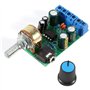 Module d'amplification audio Youmile 2 Pack DC 1.8-12V TDA2822M 2.0 Canal Stéréo AMPBoard Mini AUX DIY Système de son Composant