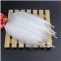 Lot de 100 plumes d'oie blanches pur de 15,2 à 22,9 cm - Accessoires de bricolage pour maison, mariage, anniversaire, fête de No