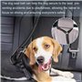 Diompirux 2 pièces Ceinture Chien Voiture, Ensemble de Harnais et Laisse de sécurité de Voiture, Multifonction Tissu Réglable Ny