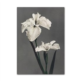 10 rouleau Fil de fer pour Bijoux Coloré Fil de Cuivre Métallique 0.3mm Bijoux Artisanat Faire pour Perlage et Bijoux Art Floral