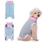1 Pièce Combinaison de Récupération de Chemise pour Chien