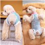 1 Pièce Combinaison de Récupération de Chemise pour Chien, Blouse Chirurgicale Anti-Léchage pour Animaux de Compagnie, pour Chie
