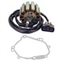 Road Passion Bobine de stator & Joint de Culasse de Moteur 5VY-15451-10-00 5VY-15451-00-00 2D1-15451-10-00 Compatible avec Yamah