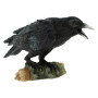 Nemesis Now Figurine appeau de Corbeau Noir 16 cm