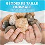 Blue Marble National Geographic 10 géodes Premium à casser – avec Lunettes & Supports – Kit Scientifique CTIM, Cadeau géologie p