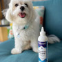 Petpost | Détachant Anti-Larmes pour Chiens - Meilleur Traitement oculaire pour Fourrure Blanche -Parfait pour Les Maltais, Shih