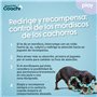 Harnais pour Chien Coachi