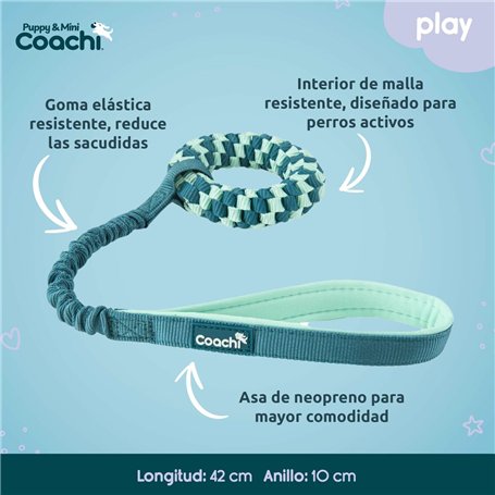 Harnais pour Chien Coachi