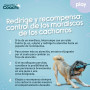 Harnais pour Chien Coachi