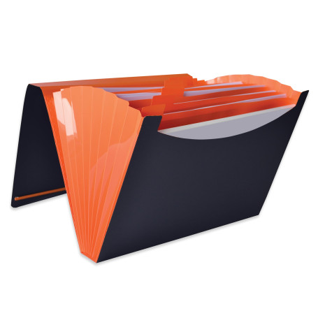 Elba 400065631 For Students Trieur extensible à soufflets 8 compartiments polypropylène opaque A4 Couleurs Aléatoires