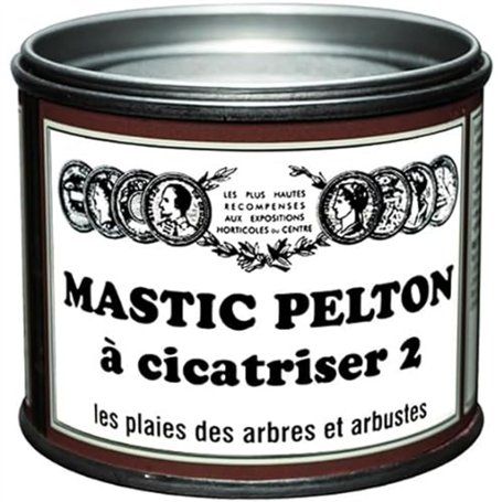 PELTON FERTILIGENE CICA20 - Mastic à Cicatriser les plaies des Arbres et Arbustes fruitiers ou d'ornement 195 g - Guérit et prot
