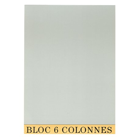 Exacompta - Réf. 5706E - 1 Bloc de contrôle comptable/audit - 6 colonnes sur 1 page - 70 feuillets en papier jaune antireflets 8