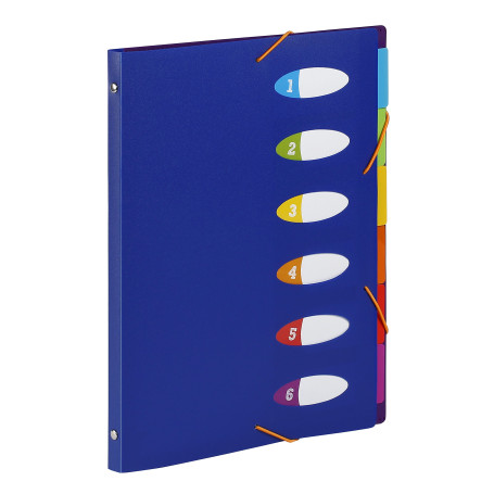 VIQUEL Trieur HAPPY FLUO PP 5/10e 6 touchesFormat A4. Coloris Bleu