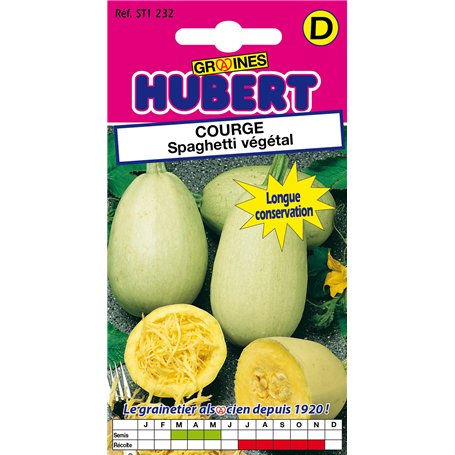 10 Graines de Courge Spaghetti Végétal