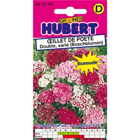 Graines d'Oeillet de Poète Double Varié - 1