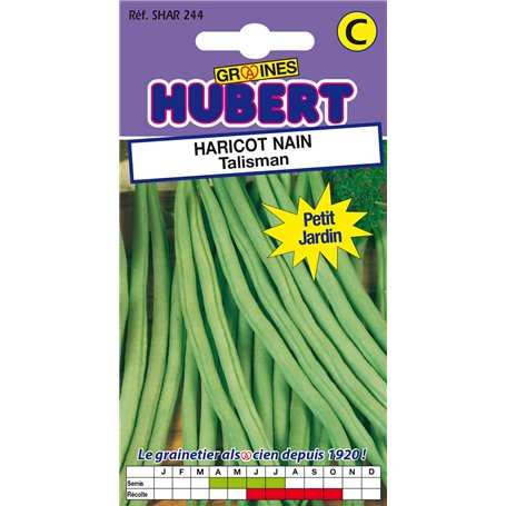50 Graines de Haricot nain Talisman - Format Petit Jardin