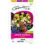 Gondian 165295 CP 2 Semences Giroflée Ravenelle Varie Multicolore 1 x 8