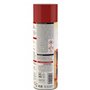 Pro Insert - Super Nettoyant - Vitres inserts de cheminées et plaques vitrocéramiques - 500ml (x1)