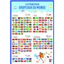 Poster pédagogique Drapeaux du Monde BOUCHUT 52 x 76 cm
