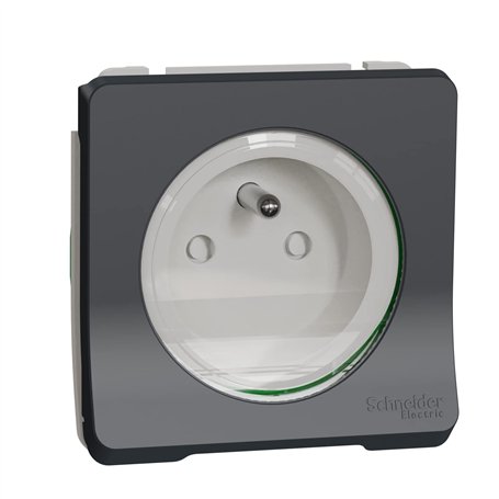Schneider Electric - Mureva Styl - Prise de courant 2P+T - composable -IP55-IK08 - connex auto - gris - MUR36133