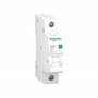 Schneider Electric Disjoncteur RESI9 1P 10A B 6KA R9F23110