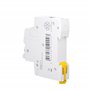 Schneider Electric R9F23116 Disjoncteur 16 A 230 V