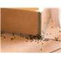 Anti-fourmis poudrage 250grs + capot doseur