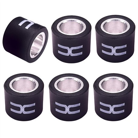 cyclingcolors 6x Galet de variateur 19x15.5mm Scooter Rouleau Variomat Transmission Moteur (4.5g)