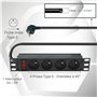WAYTEX 37489 PDU Multiprise Rackable 10 Pouces Bandeau 4 Prises avec Interrupteur pour Coffret